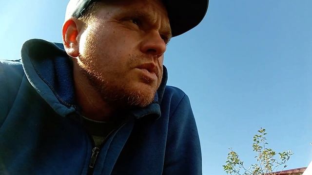 ПОМИДОРЫ В ГРУЗИИ ОКТЯБРЬ НОЯБРЬ .ЗЕЛЕНЫЕ ПОМИДОРЫ КАК БИЗНЕС смотреть онлайн