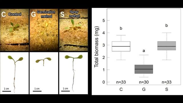 Improved and harmless demethylation method for ecological epigenetic experiments смотреть онлайн