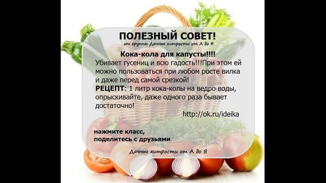 Полезные советы Дачникам и садоводам Дачные хитрости от А до Я 12 смотреть онлайн