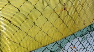 Садовый забор: сетка рабица и поликарбонат