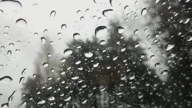 Елена Фролова 