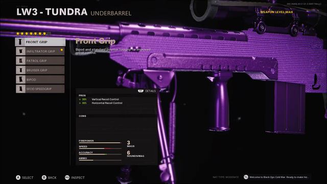 BEST LW3 Tundra Class For Cold War Zombies! смотреть онлайн