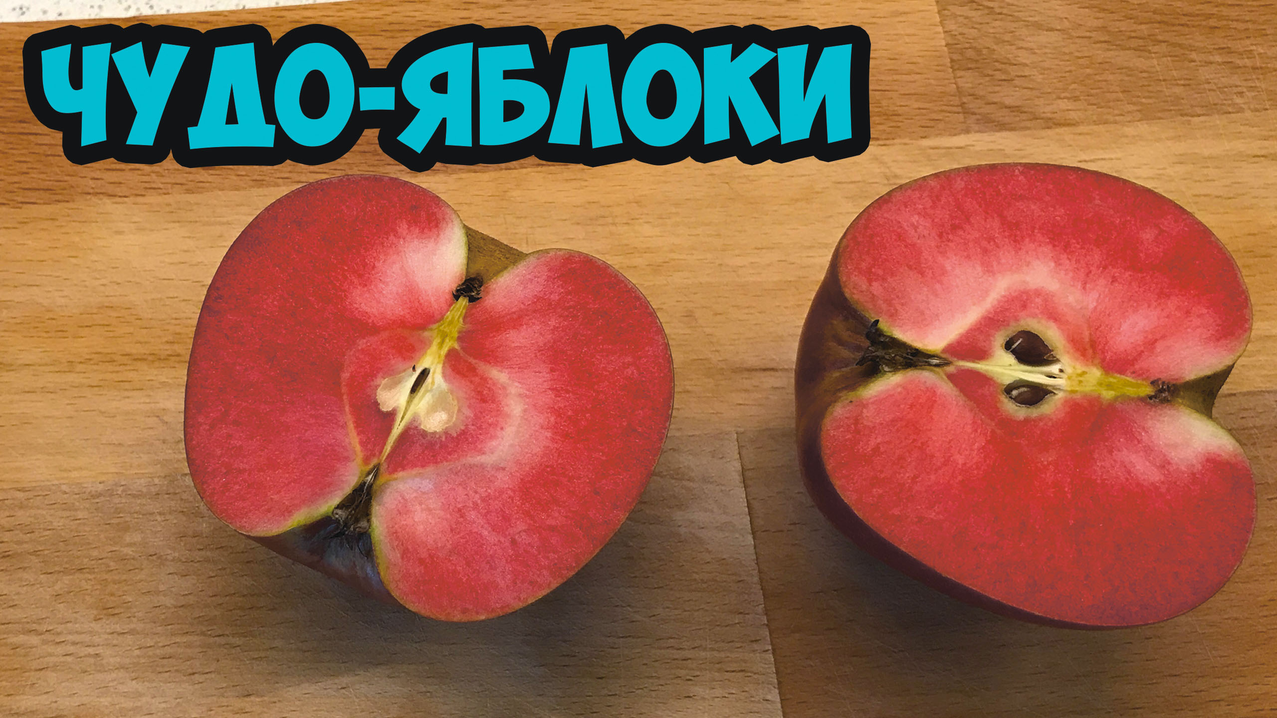 ЧУДО-ЯБЛОКИ! Впервые пробуем элитный сорт RED MOON. Стоит ли переплачивать за итальянскую НОВИНКУ? смотреть онлайн