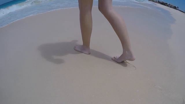 "Sonnet 18" - Video Adaptation by GiGi Goltermann смотреть онлайн