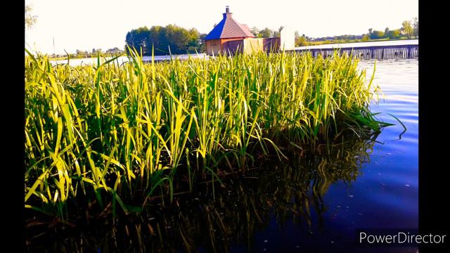 ШОСТКА♥️ШОСТКА