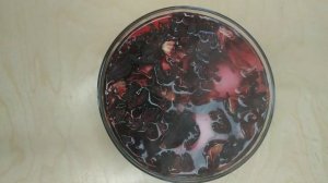 Покраска яиц БЕЗ ХИМИИ И УКСУСА/Покраска яиц на Пасху БЕЗ ХИМИИ