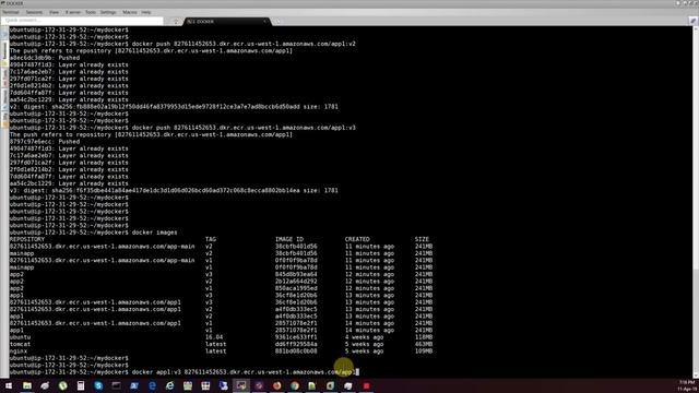 AWS - Elastic Container Service - Часть-3 - ECR - Repository для Docker Image смотреть онлайн