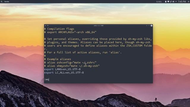 My Terminal setup | termite + zsh | 2019 смотреть онлайн