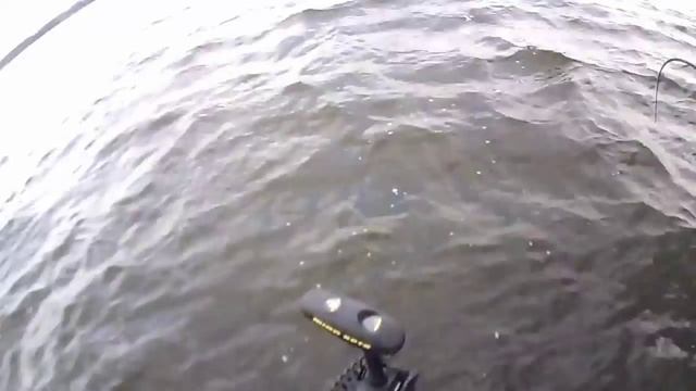СОМ в РУКУ Proanglers Питерцов смотреть онлайн
