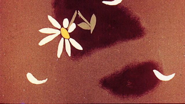 Диафильм Охрана растений смотреть онлайн