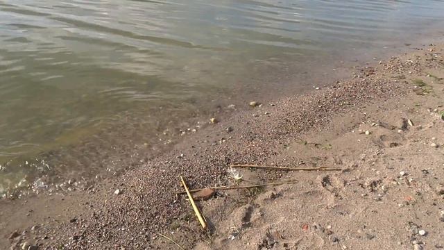 Спокойный плеск воды смотреть онлайн