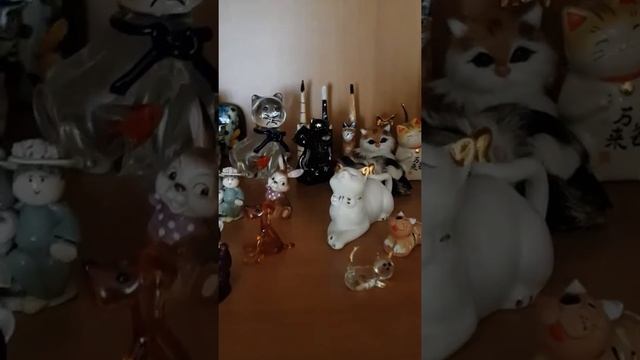 содержание кошек в питомнике смотреть онлайн