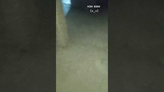раскраска ульев смотреть онлайн