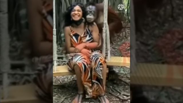 АЭ! Я ДИКОБРАЗ ВООБЩЕ-ТО!!! смотреть онлайн