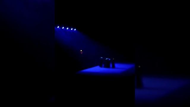 Прямая трансляция с водного шоу сокровища пиратов(1) смотреть онлайн