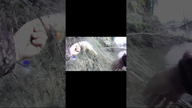 ловля окуня на живца.mp4 смотреть онлайн
