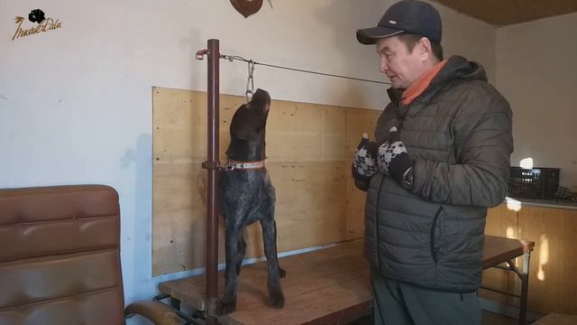 Базовая аппортировка Шаг 1 (Терпение руки) смотреть онлайн