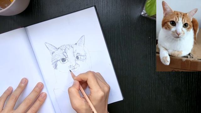 Draw My Cat Challenge | White | See how my cat react! | How to draw a cat смотреть онлайн