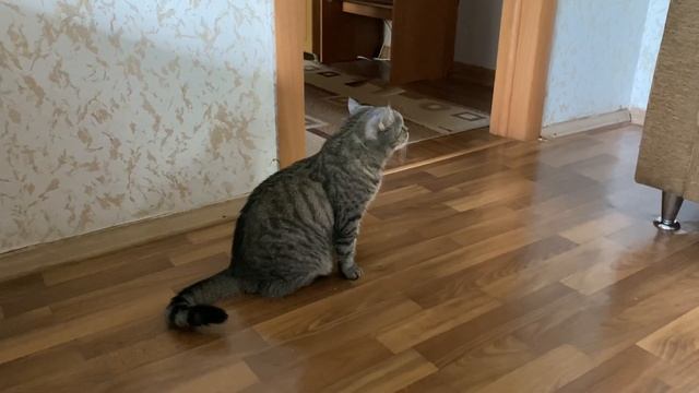 24 ЧАСА ЧТЕНИЯ | ЭТО БЫЛО ТЯЖЕЛО ?? смотреть онлайн