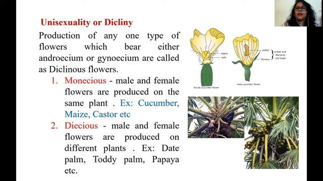 Pollination Mechanism - Cross Pollination II Dr. T. Annie Sheron смотреть онлайн