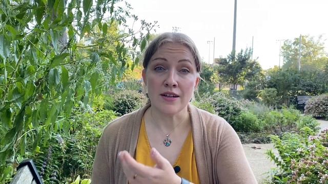 Как подготовиться к появлению щенка? Что нужно для щенка? Собака для новичка. смотреть онлайн