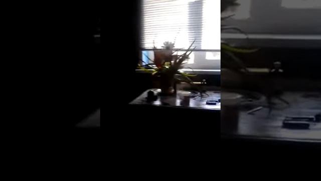 У меня дома воняет смотреть онлайн