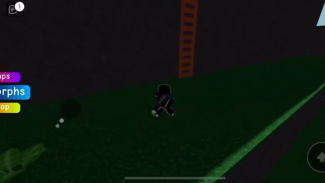 How To Get The “Flat Floppa” | Find The Floppa Morphs #roblox #floppa