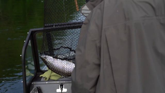 Рыбалка на тихоокеанских лососей-1 смотреть онлайн
