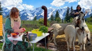 ЖИЗНЬ ОТШЕЛЬНИКОВ В ГОРНОЙ ДЕРЕВНЕ СРЕДИ ЖИВОТНЫХ. Хутор в горах. Варим борщ. Жизнь в деревне Турция