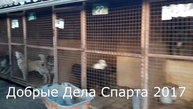 Добрые Дела смотреть онлайн