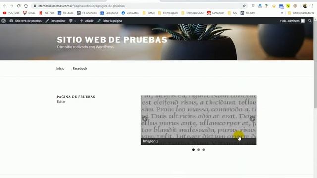 Wordpress: Como insertar un slider (carrusel de imagenes) смотреть онлайн