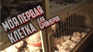 Как я начинал выращивать бройлеров и моя первая клетка для бройлеров.
