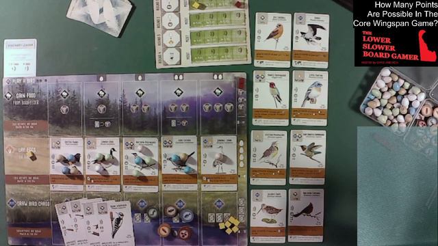 Most Points (Im)Possible? with WINGSPAN Core Game смотреть онлайн