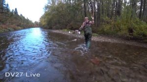 Осенняя рыбалка на горной речке. Ленок, хариус. Ловим на удочку и спиннинг.