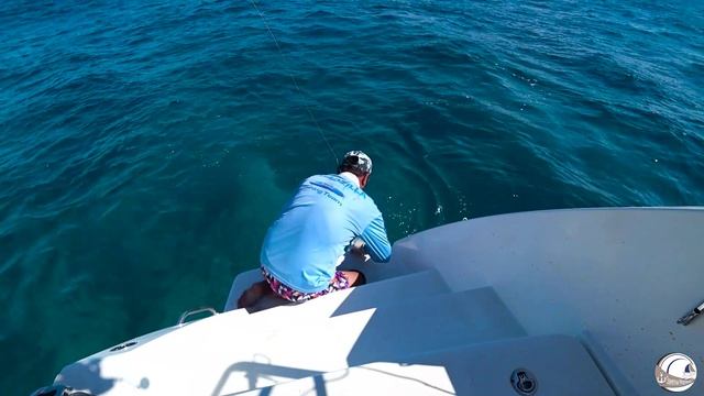 Путешествие и рыбалка в индийском океане смотреть онлайн