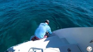 Путешествие и рыбалка в индийском океане