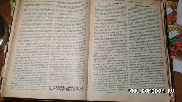 Что сделать чтобы растения не замёрзли? По журналу 1912г. Прогрессивное садоводство и огородничеств смотреть онлайн
