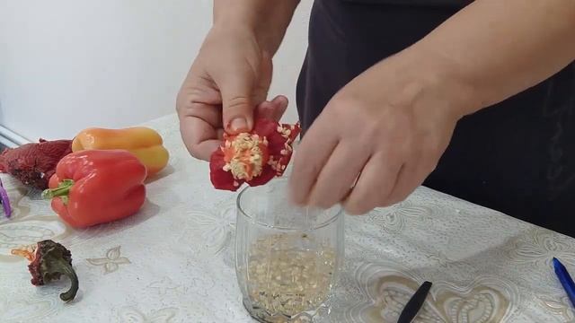 Собираем семена перцев. Готовим семена на следующий сезон. смотреть онлайн