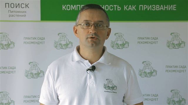 Ежевика. Секреты агротехники от селекционеров агрохолдинга "Поиск". смотреть онлайн