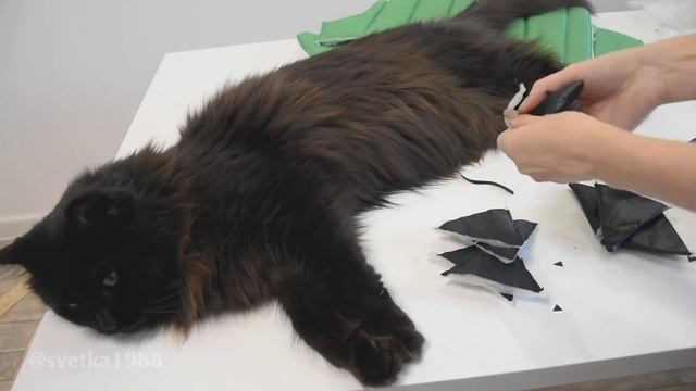 Как сшить дино жилетку. Часть 2. смотреть онлайн