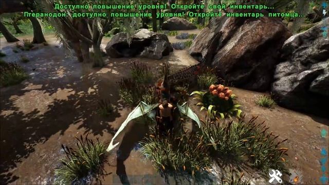 СТРОИМ ОБОРОНУ БАЗЫ! #ГАЙД ДЛЯ НОВИЧКОВ! Ark: Survival Evolved #6 смотреть онлайн