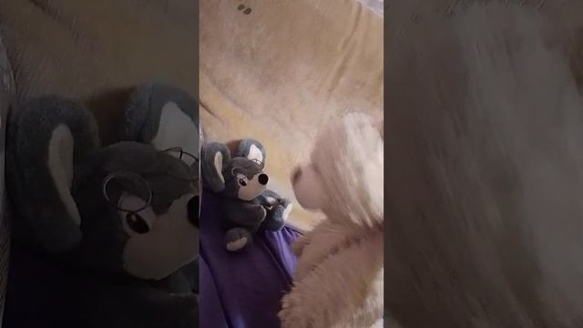 мультик и сказка что происходит у игрушек в реальной жизни когда все спят смотреть онлайн