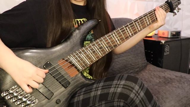 Slipknot - Duality Bass Cover (chorus And Bridge)
