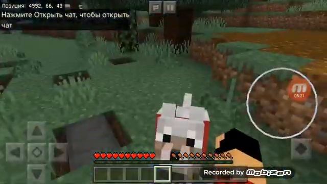 НАШЁЛ СОБАКУ (пса) В ТЁМНОМ ЛЕСУ смотреть онлайн