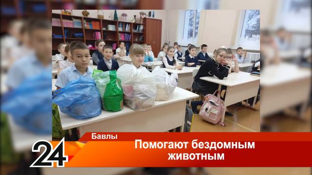 Помогают бездомным животным - 22 декабря 2023 года смотреть онлайн