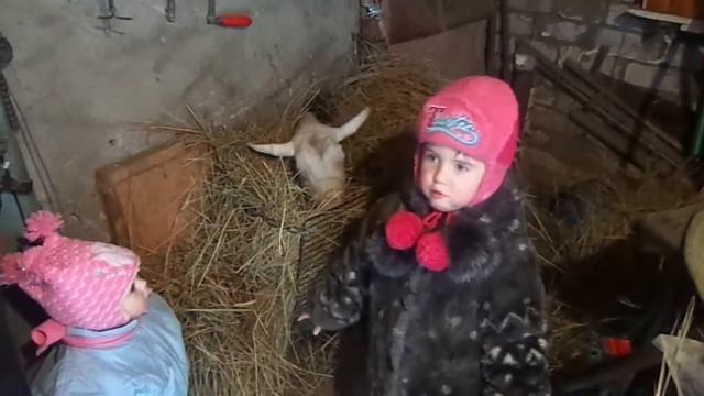 В гостях у Лютки смотреть онлайн