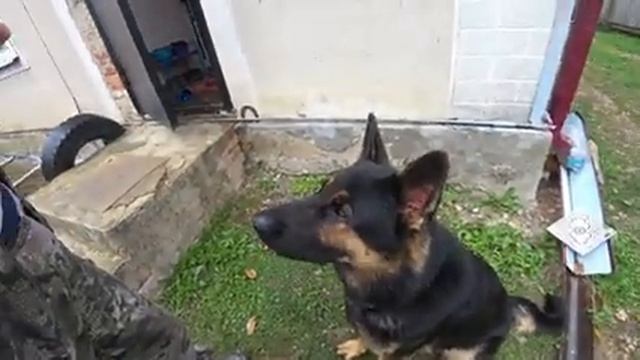 Немец ест яйца виноград и пряники смотреть онлайн