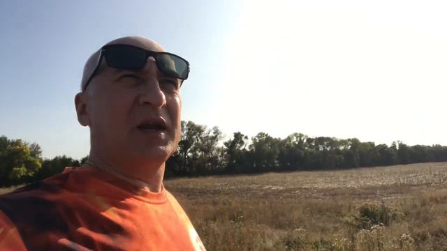 В чистом поле васильки.. смотреть онлайн
