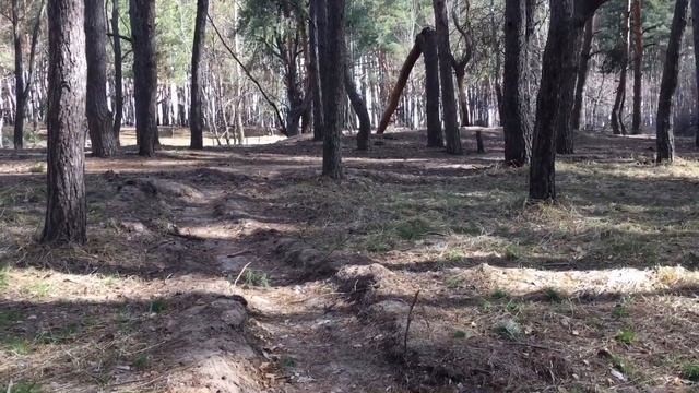 Хабарные места недалеко от города | Чудный лесок Коп часть 2 смотреть онлайн